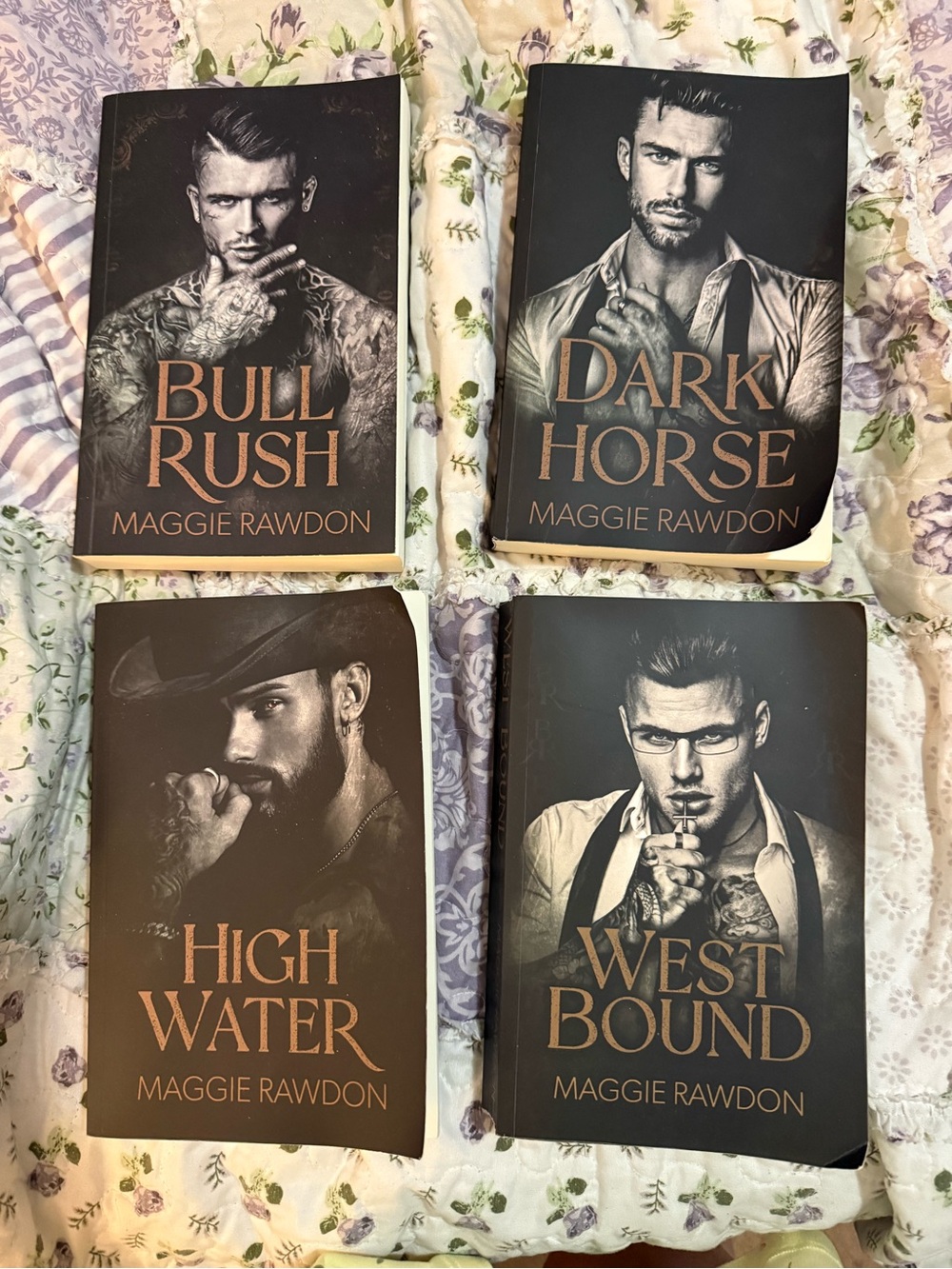 Quiet Horseman book series by Maggie Rawdon